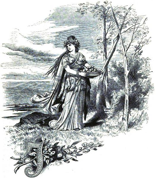 Wagner45