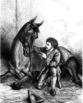 CHAPTER 12 image 59 Horse Whisperer