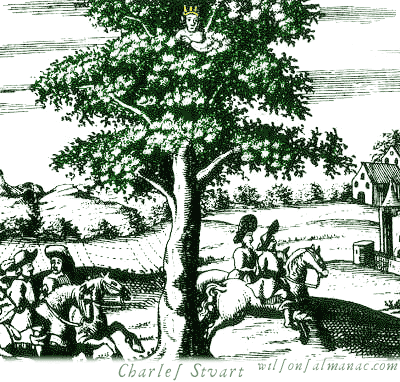 charles_II_oak