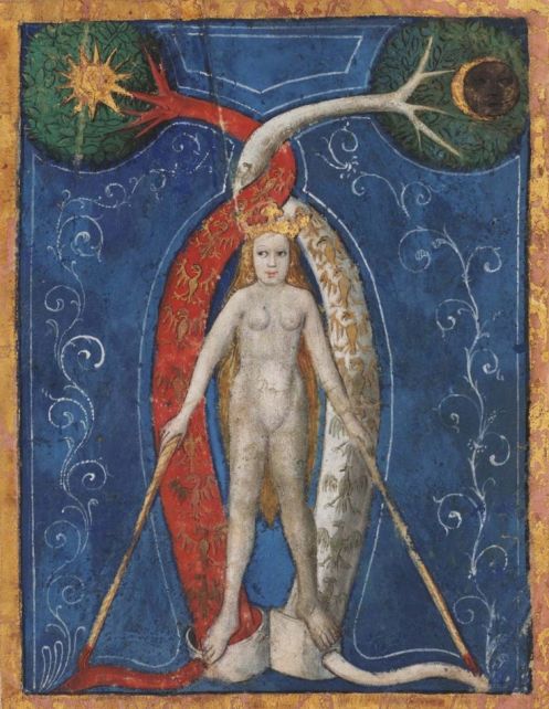 e2410d20a6aac1bcfd186e2fd16e7295--free-library-illuminated-manuscript